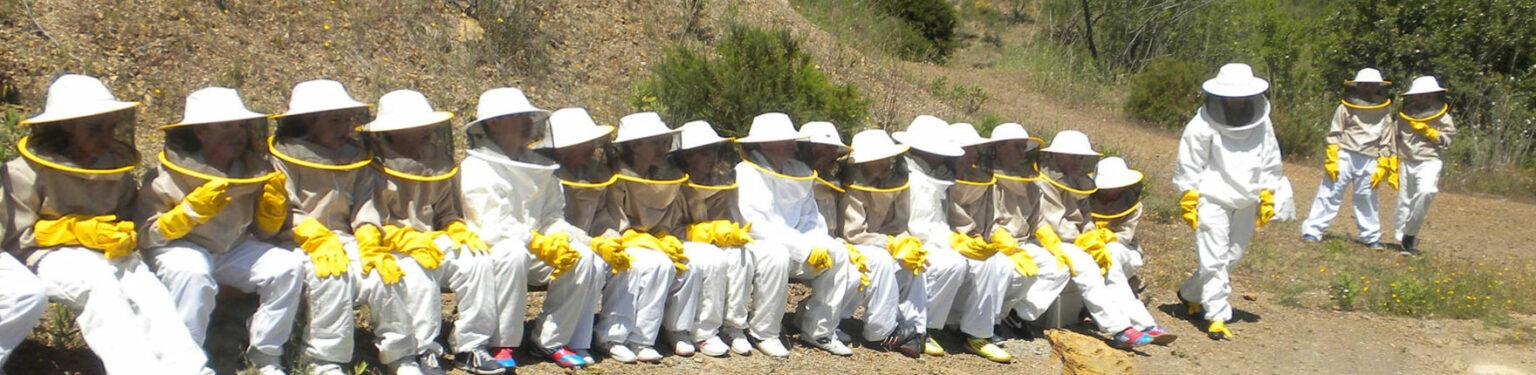 Visita del alumnado de 4ºDiver al Museo de la Miel